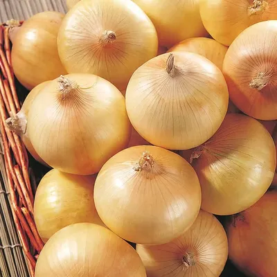 Cebolla Amarilla - Cebollas premium