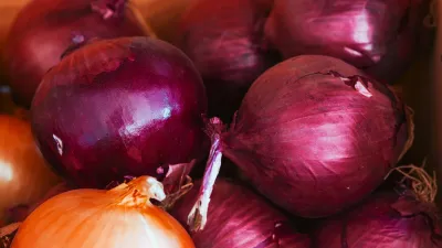 Cebollas frescas de Andes Valley